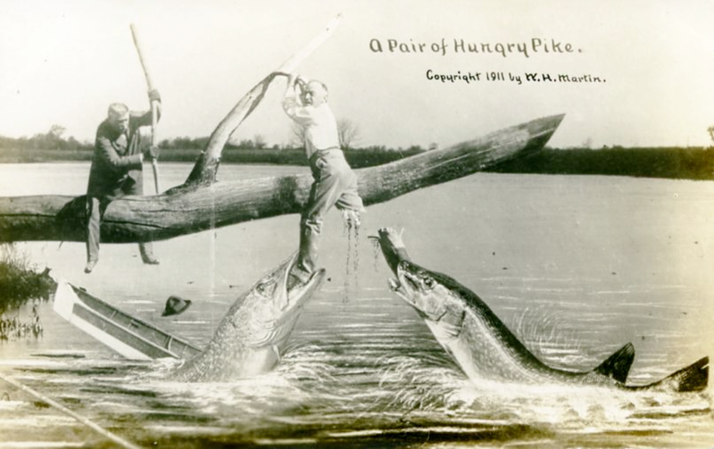Illustration for article titled Tall Tale Fishing Postcards, The Ultimate Humblebrag Of The Early 1900s